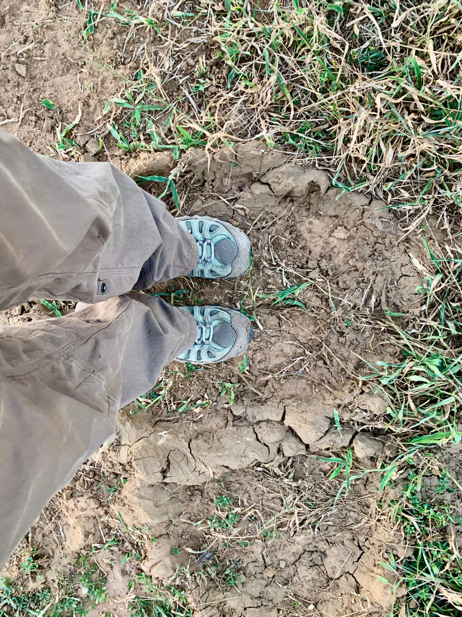 Standing in an Elephant foot print